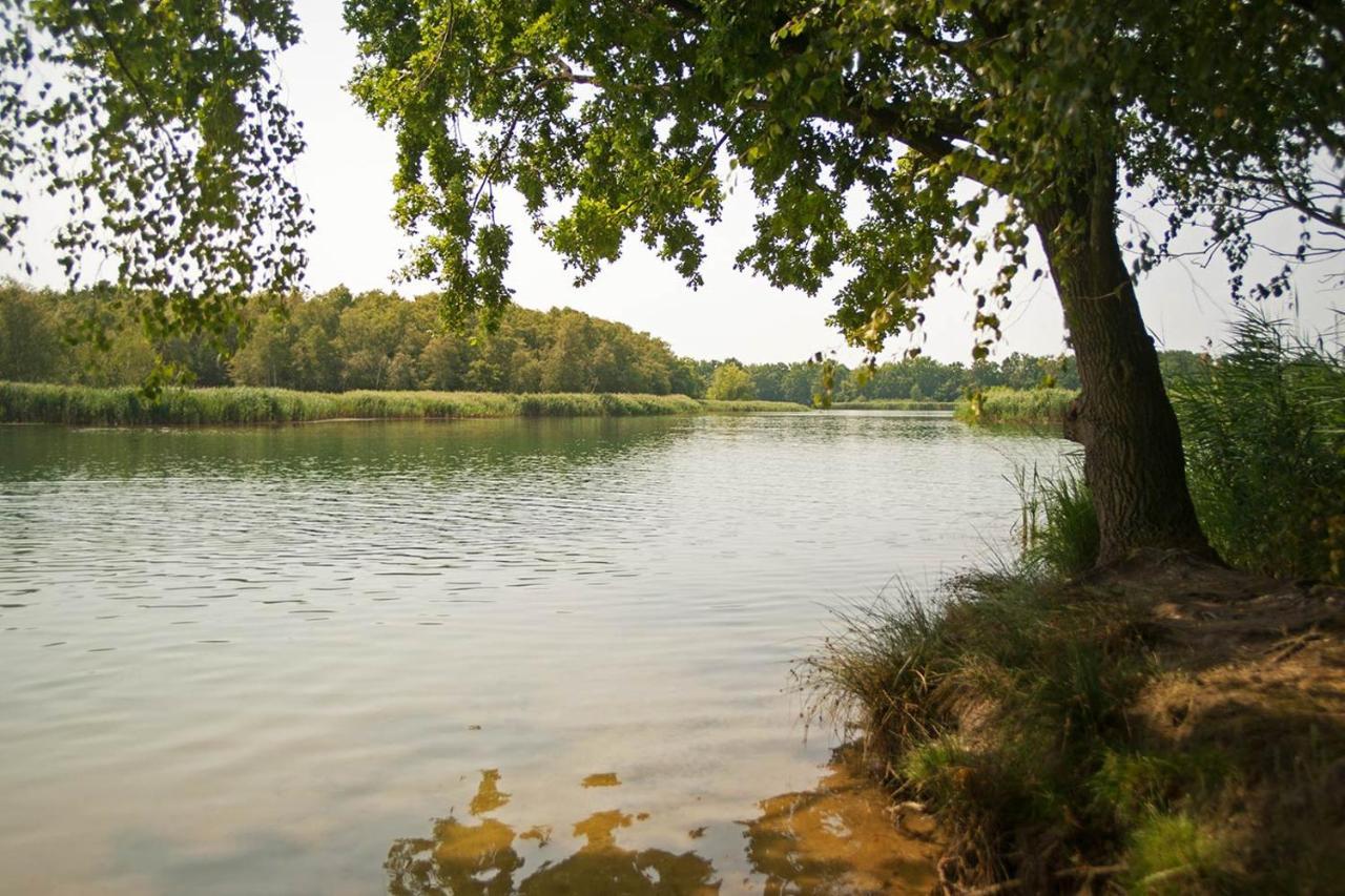 Hospoda-Ferienhaus Am Olba-See Malschwitz Exteriér fotografie