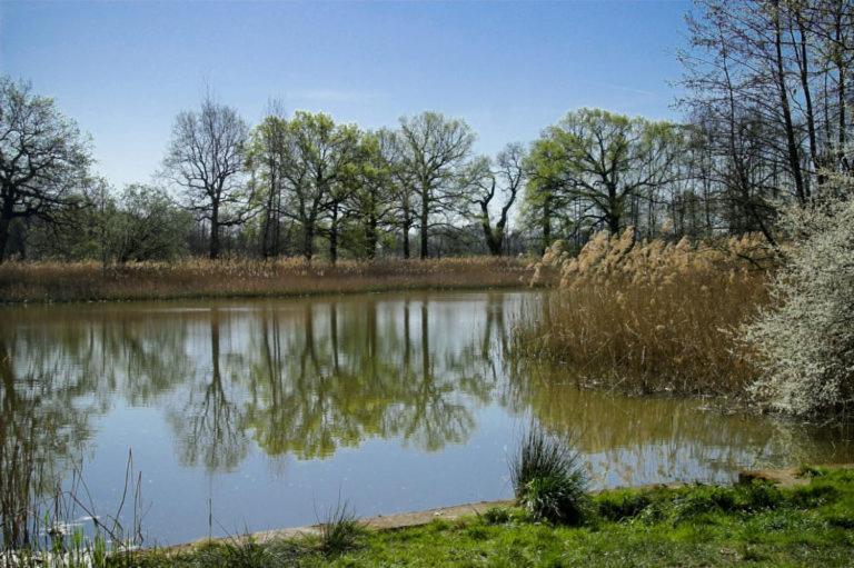 Hospoda-Ferienhaus Am Olba-See Malschwitz Exteriér fotografie
